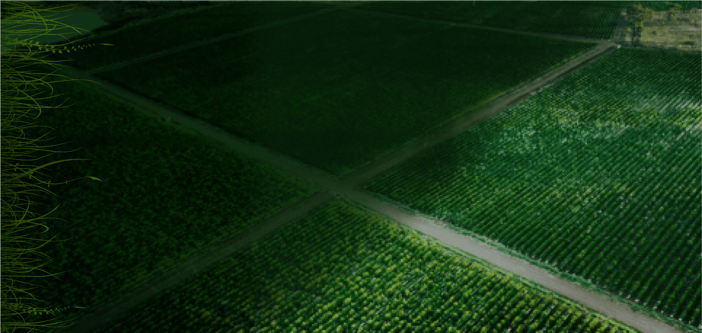 Section 2 background image