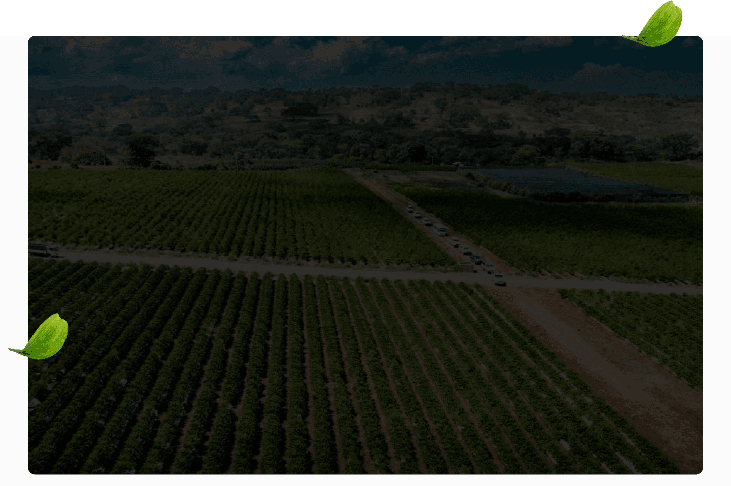 Coffee source background image