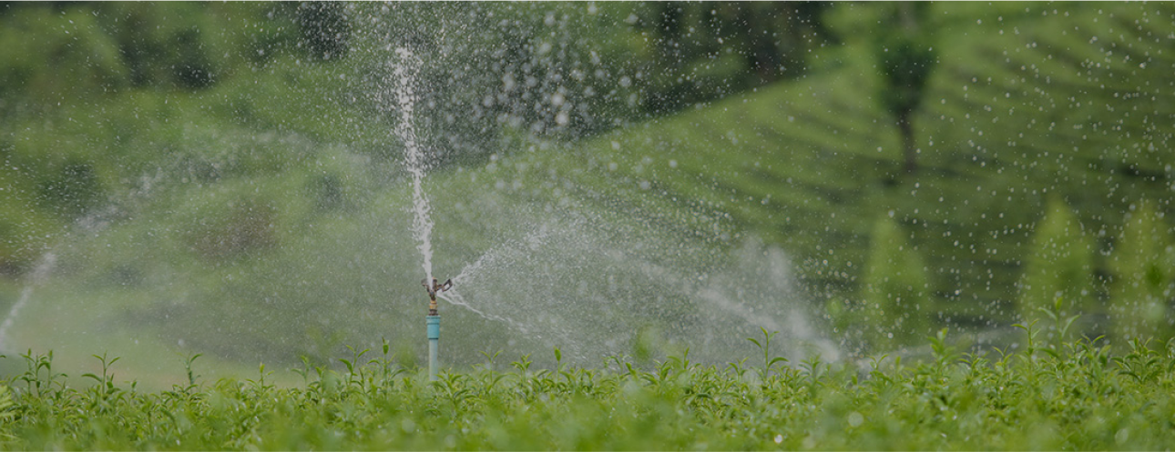 Water & Irrigations