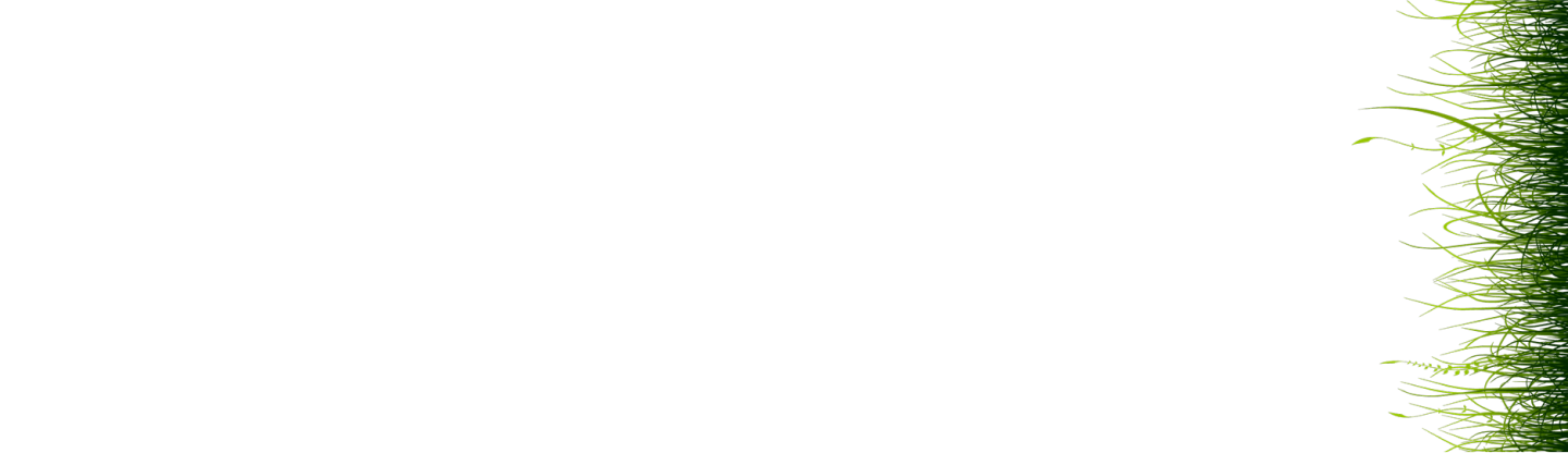 Kerchanshe Coffee Background