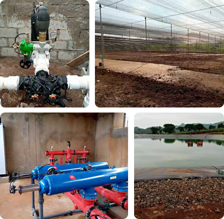 Farm Image