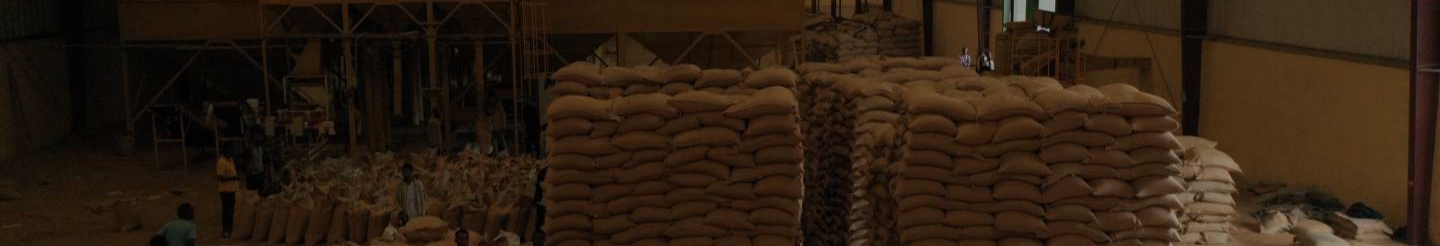Jimma Coffee Export Warehouse Banner Image